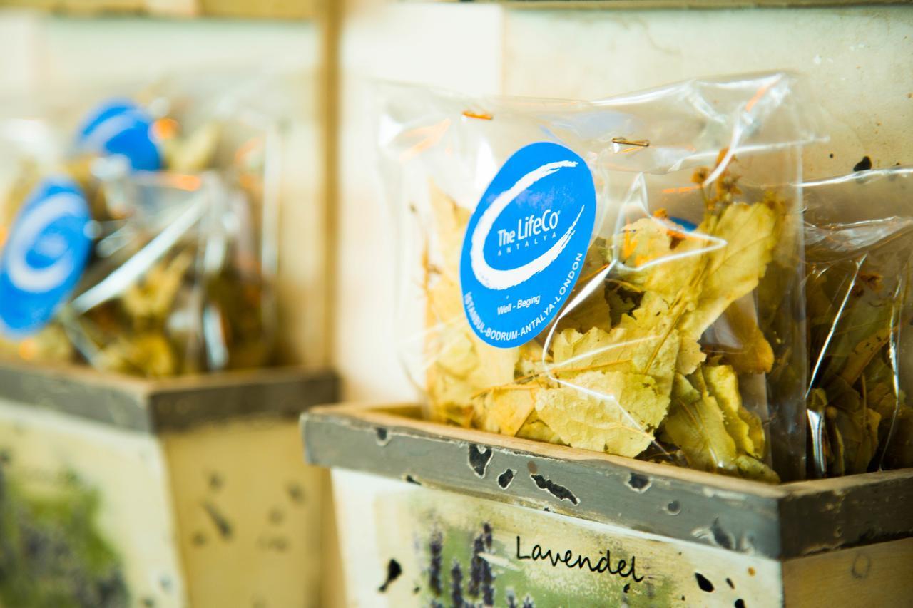 The Lifeco Antalya Well-Being Detox Center And Vegan Hotel エクステリア 写真