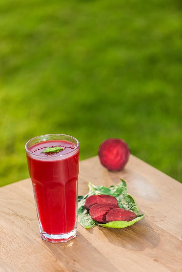 The Lifeco Antalya Well-Being Detox Center And Vegan Hotel エクステリア 写真