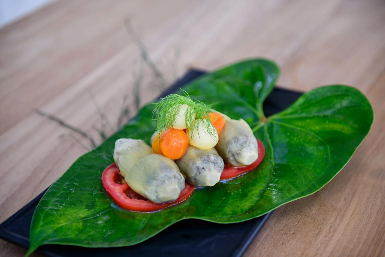 The Lifeco Antalya Well-Being Detox Center And Vegan Hotel エクステリア 写真